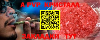 индика Будённовск