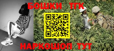 индика Будённовск
