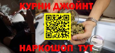 индика Будённовск