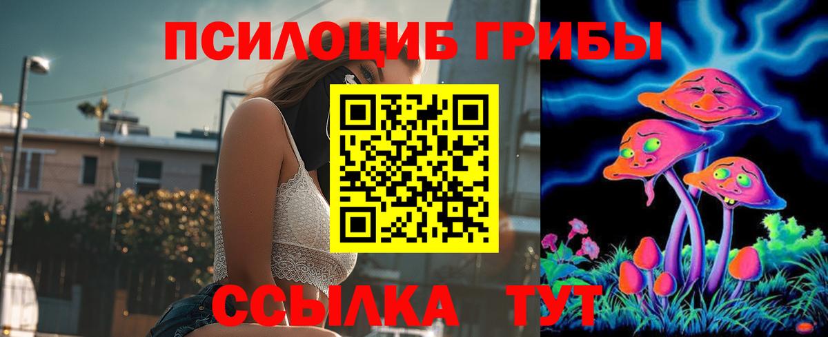 Галлюциногенные грибы Psilocybe Советский